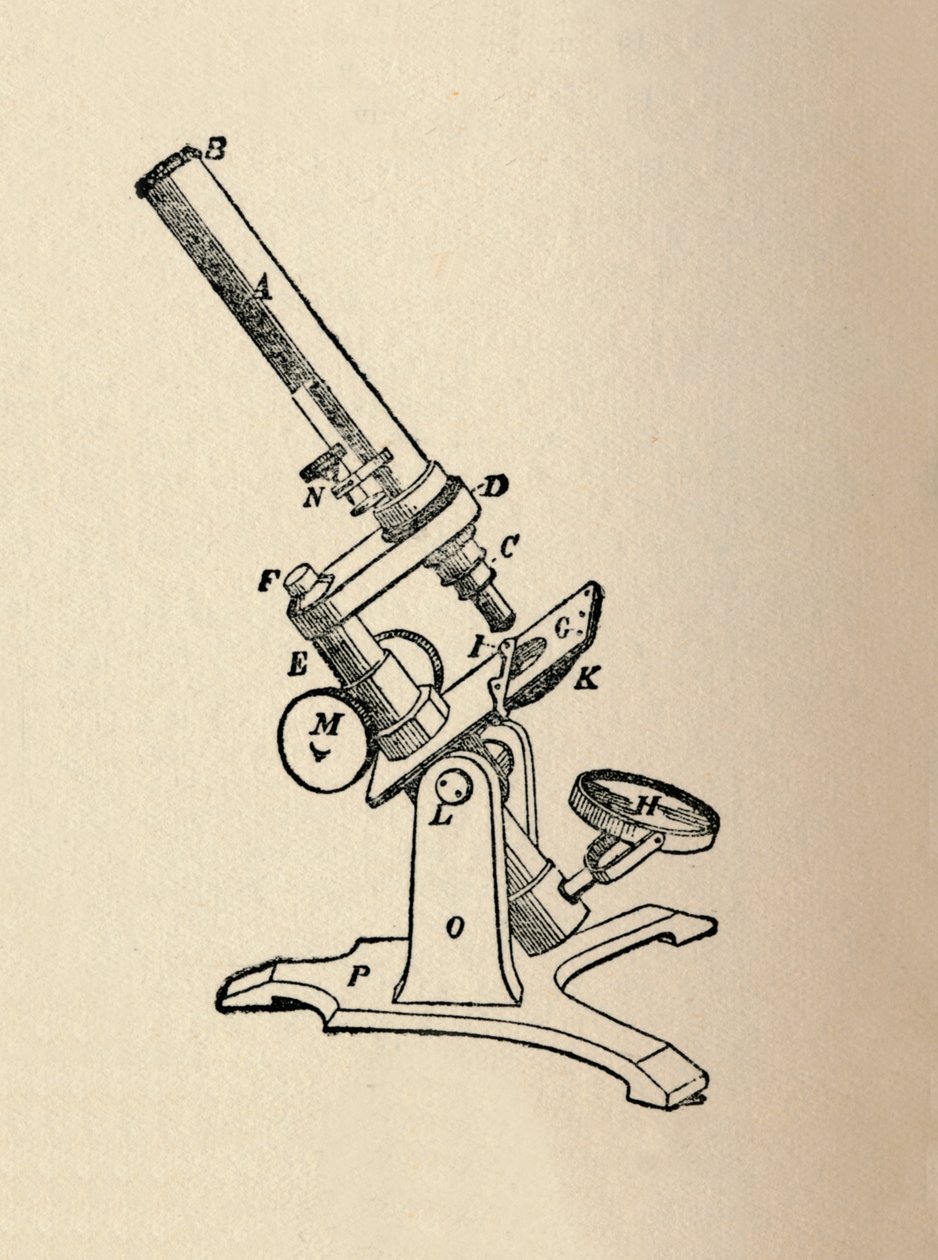 Mikroskop, 1912 od Unbekannt