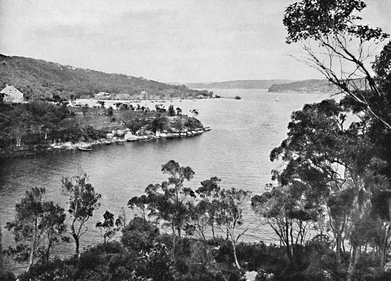Middle Harbour, od Spit Road, c1900. od Unbekannt