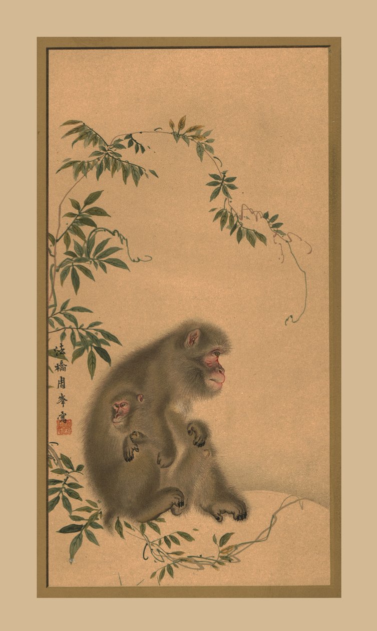 Opice, 19. století, 1886 od Unbekannt