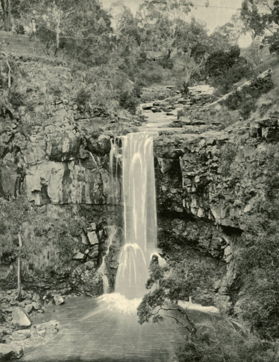 Moorabool Falls, Victoria, 1901. od Unbekannt