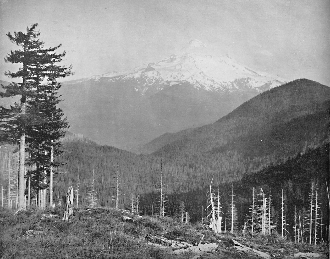 Mount Hood, Oregon, c1897. od Unbekannt