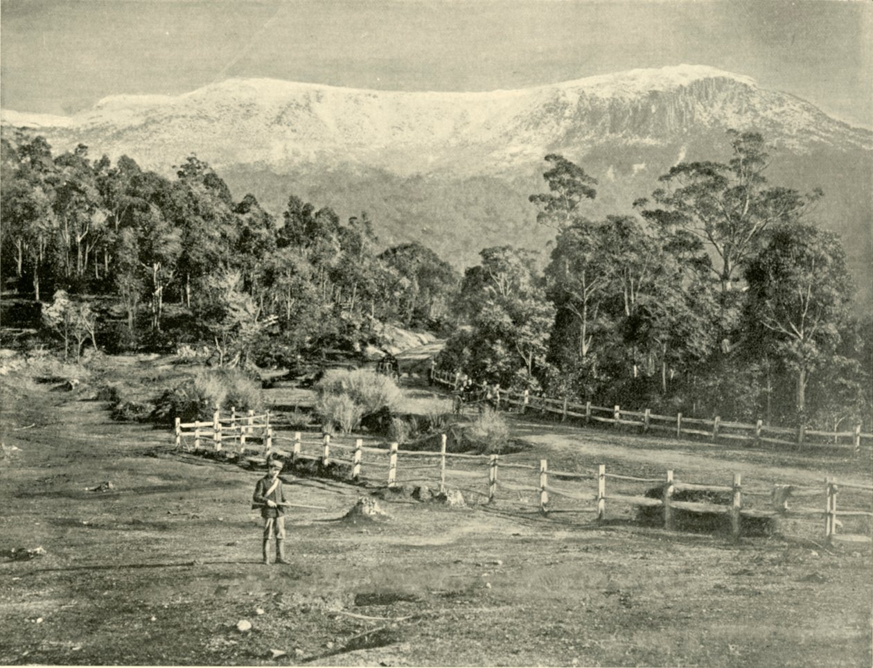 Mount Wellington, z Huon Road, 1901. od Unbekannt