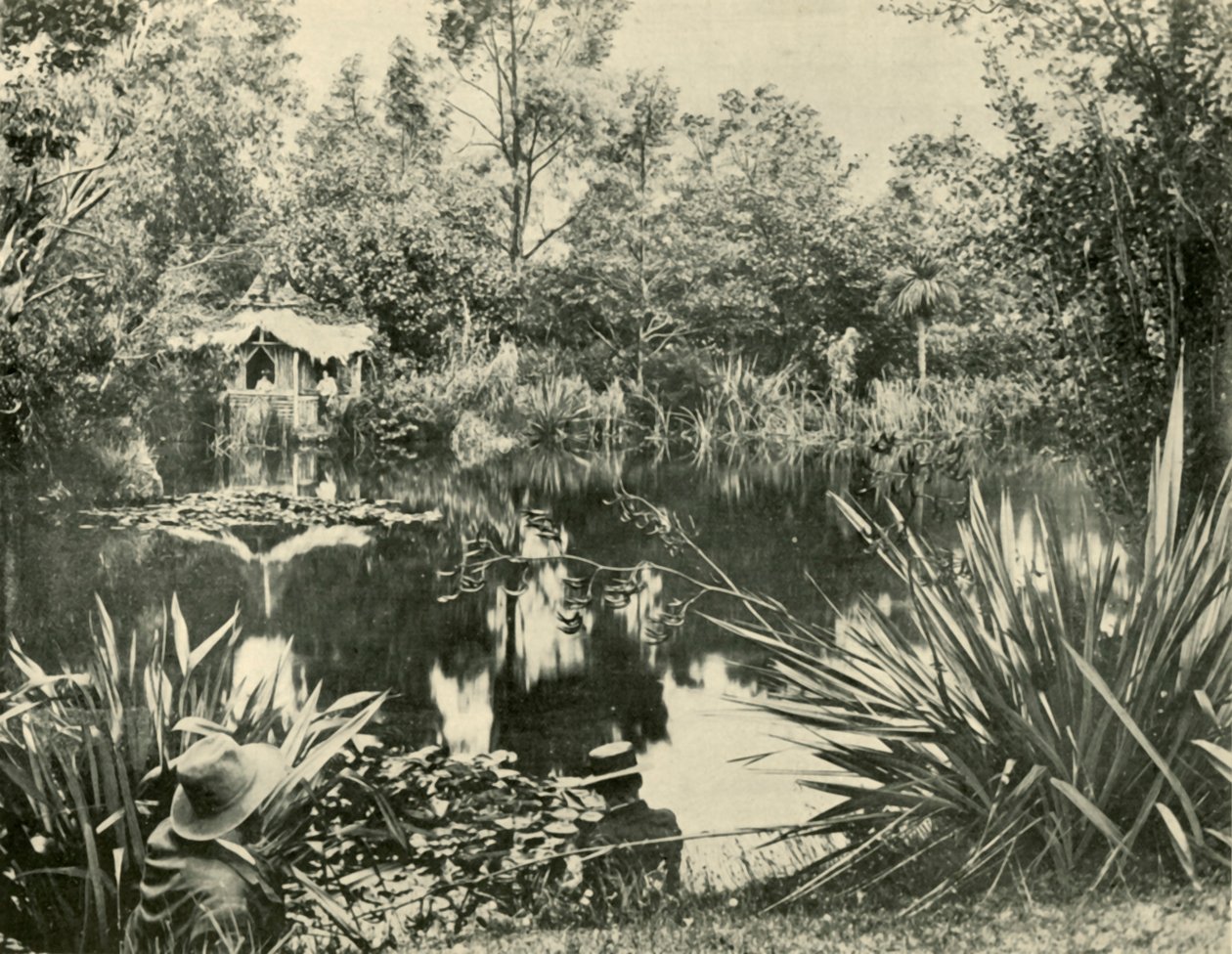 Pan Ryans Gardens, Mount Macedon, Victoria, 1901. od Unbekannt