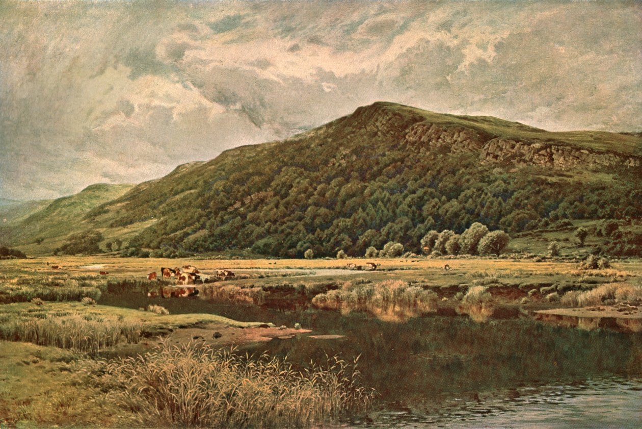 Natures Mirror, 1882, c1902. od Unbekannt
