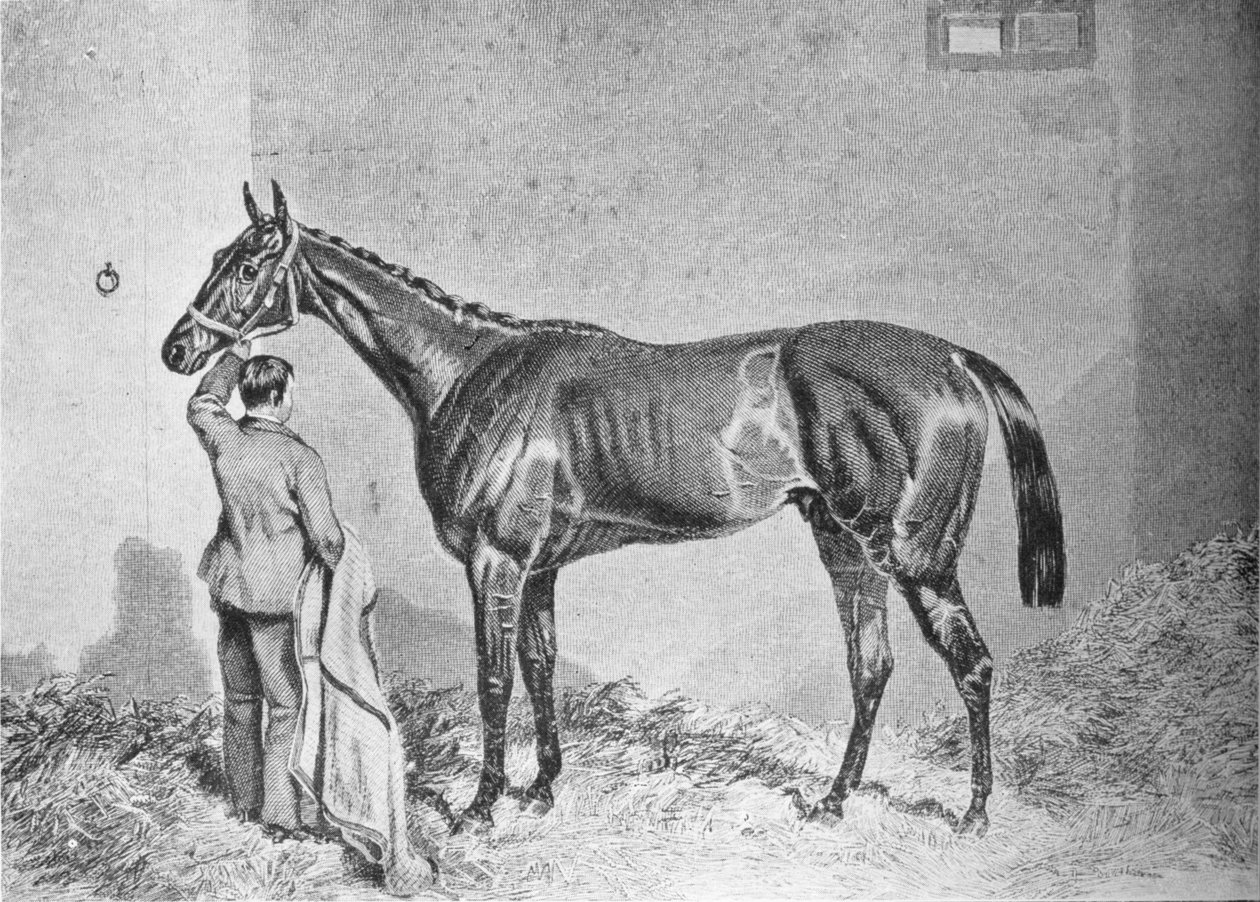 Newminster, 1848-1868, 1911 od Unbekannt