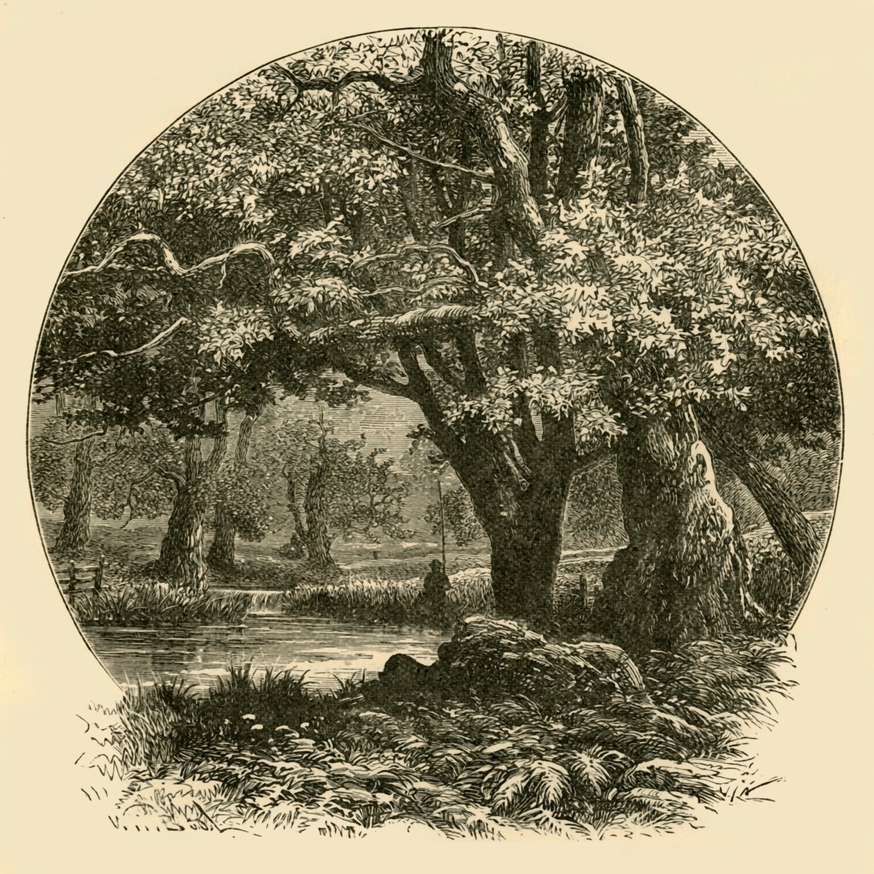 Oaks v Bradgate, 1898. od Unbekannt