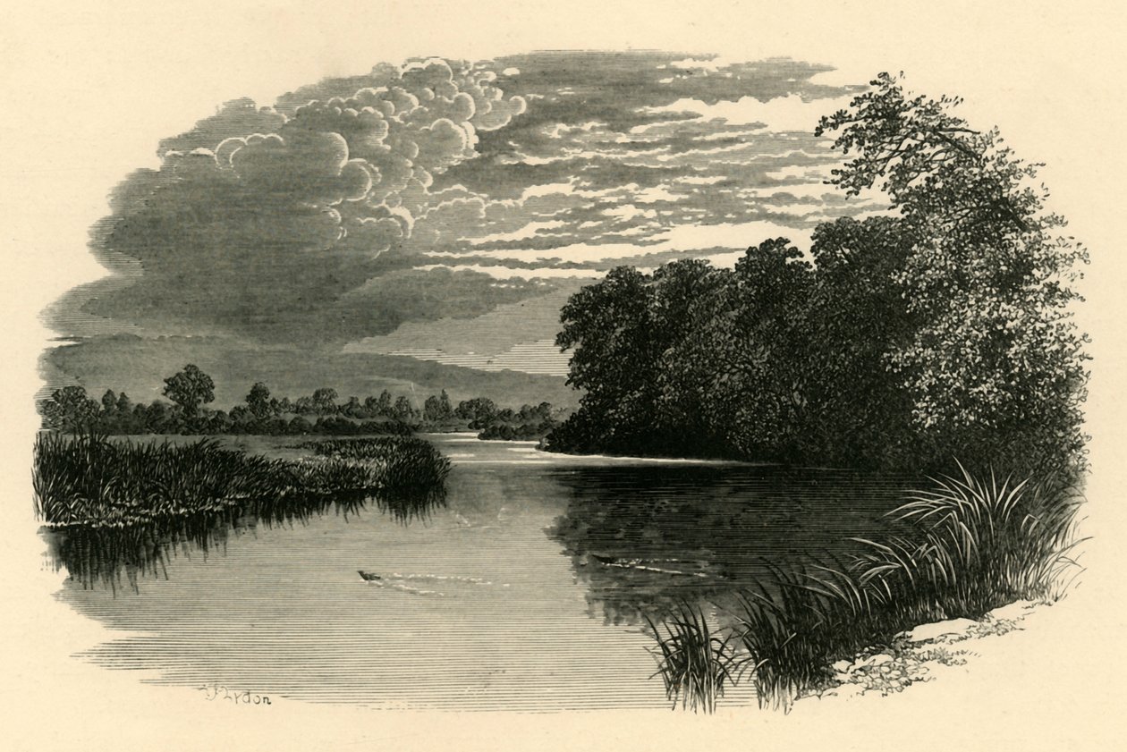 Na Avonu. Strensham Reach, c1890. od Unbekannt
