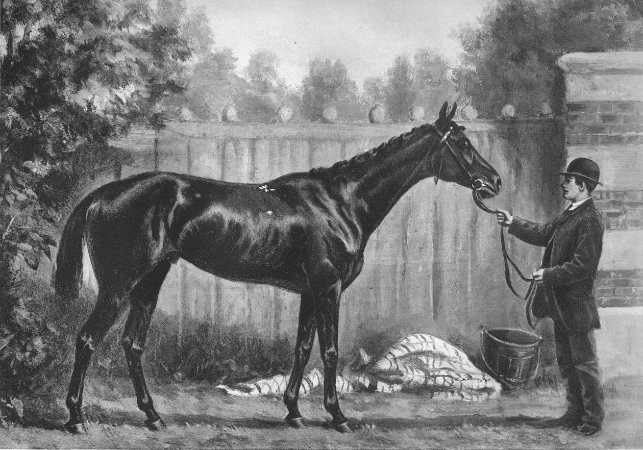 Paradox, 1882-1890, 1911 od Unbekannt