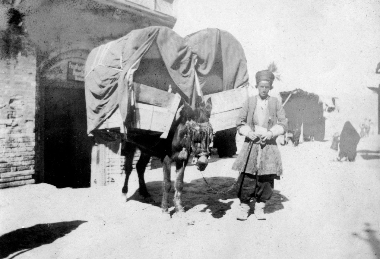 Transport perského osla, Bagdád, Irák, 1917-1919 od Unbekannt