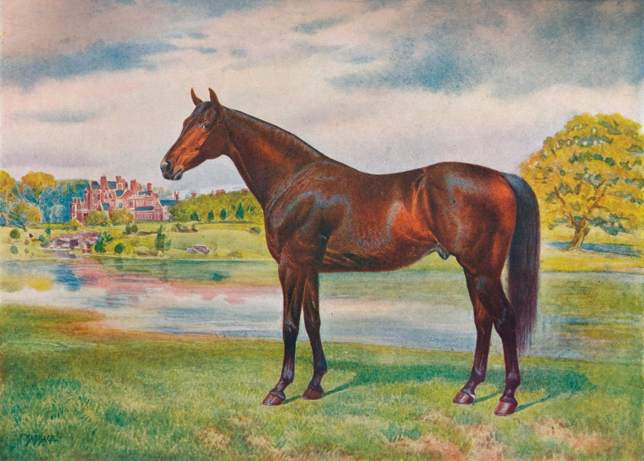 Tomel, c1905 c1910 od Unbekannt