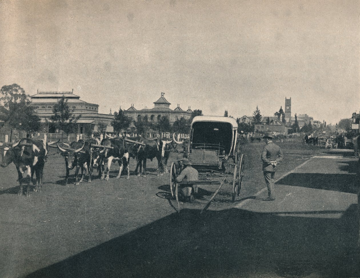Pietermaritzburg, 1900. od Unbekannt