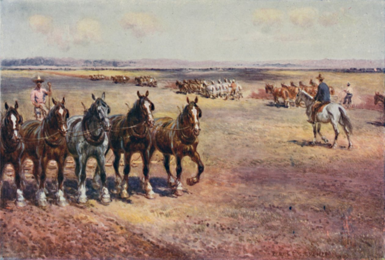 Orba ve velkém měřítku, 1923. od Unbekannt