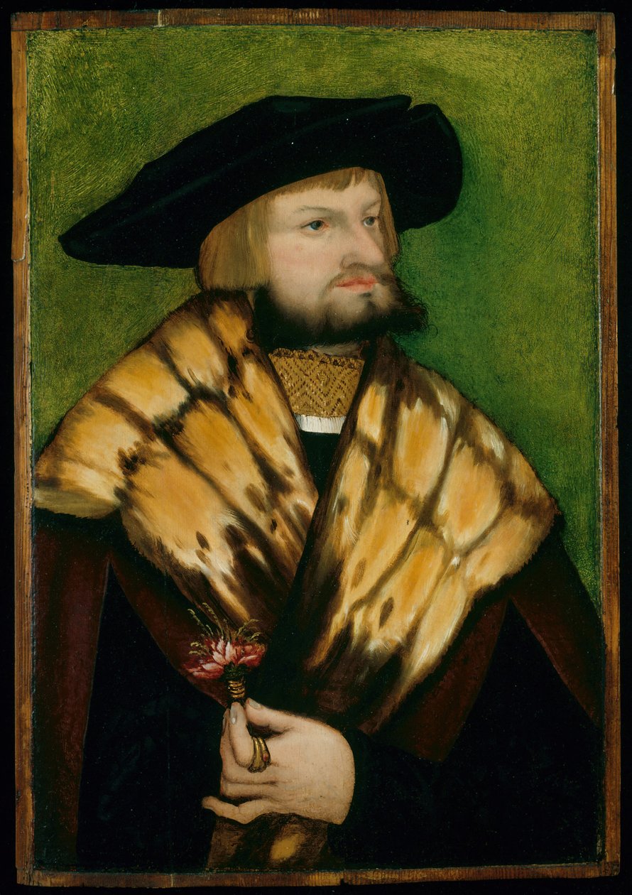 Portrét Leonharda Fuchse, 1525. od Unbekannt