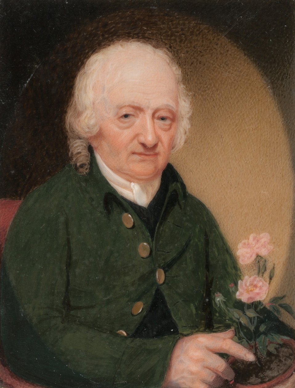 Portrét gentlemana, ca. 1810-15. od Unbekannt