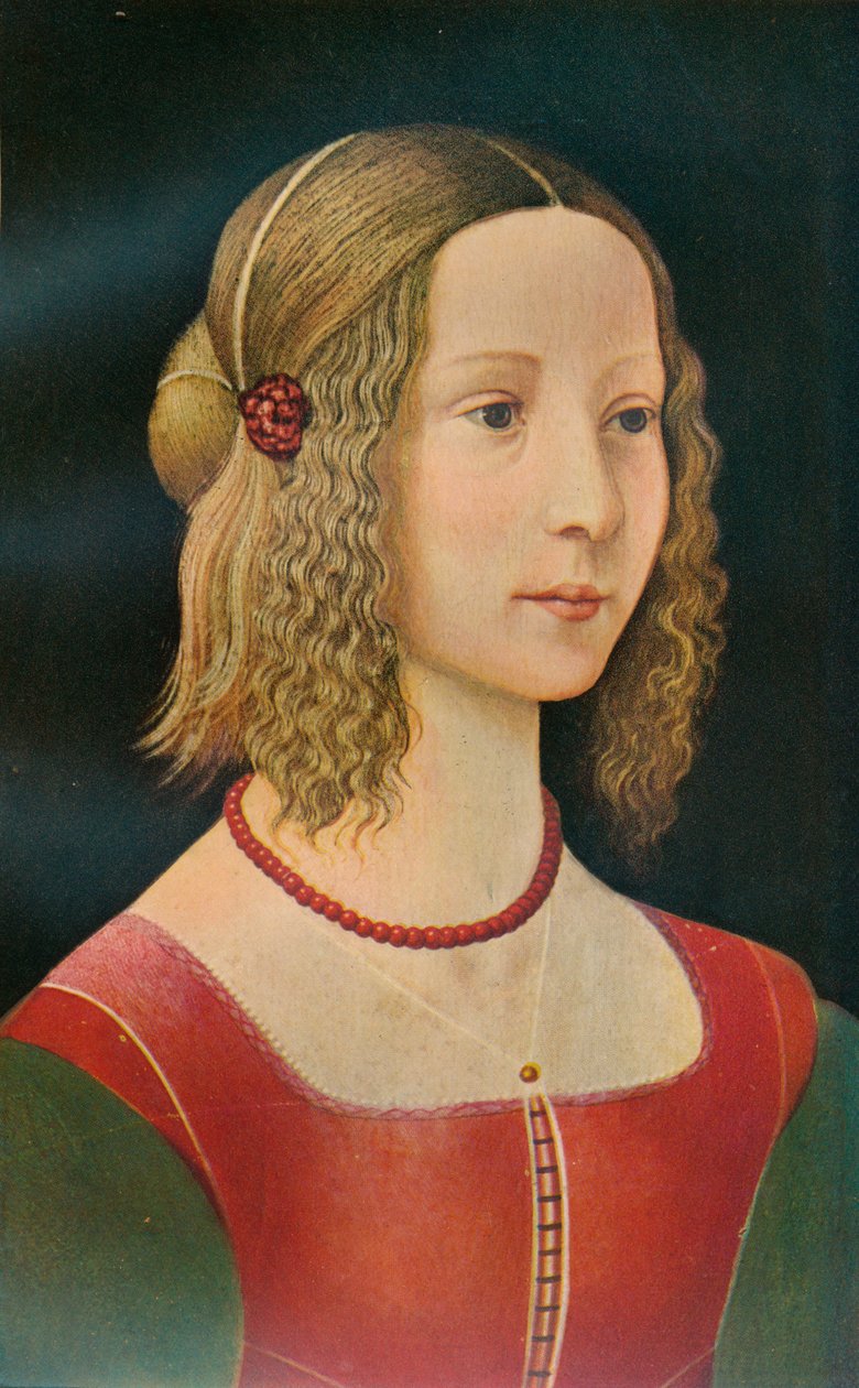 Portrét dívky, c1490, 1911 od Unbekannt