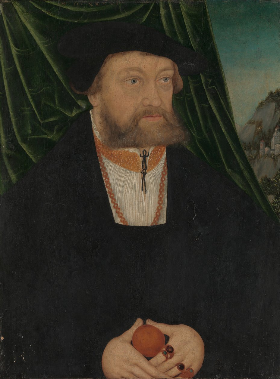 Portrét muže, 1537. od Unbekannt