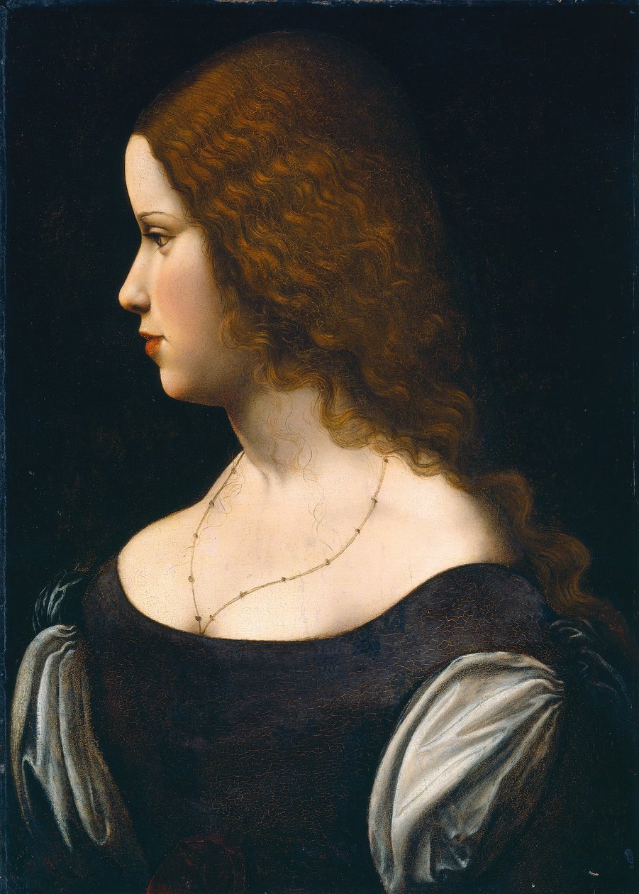 Portrét mladé dámy, c. 1500. od Unbekannt