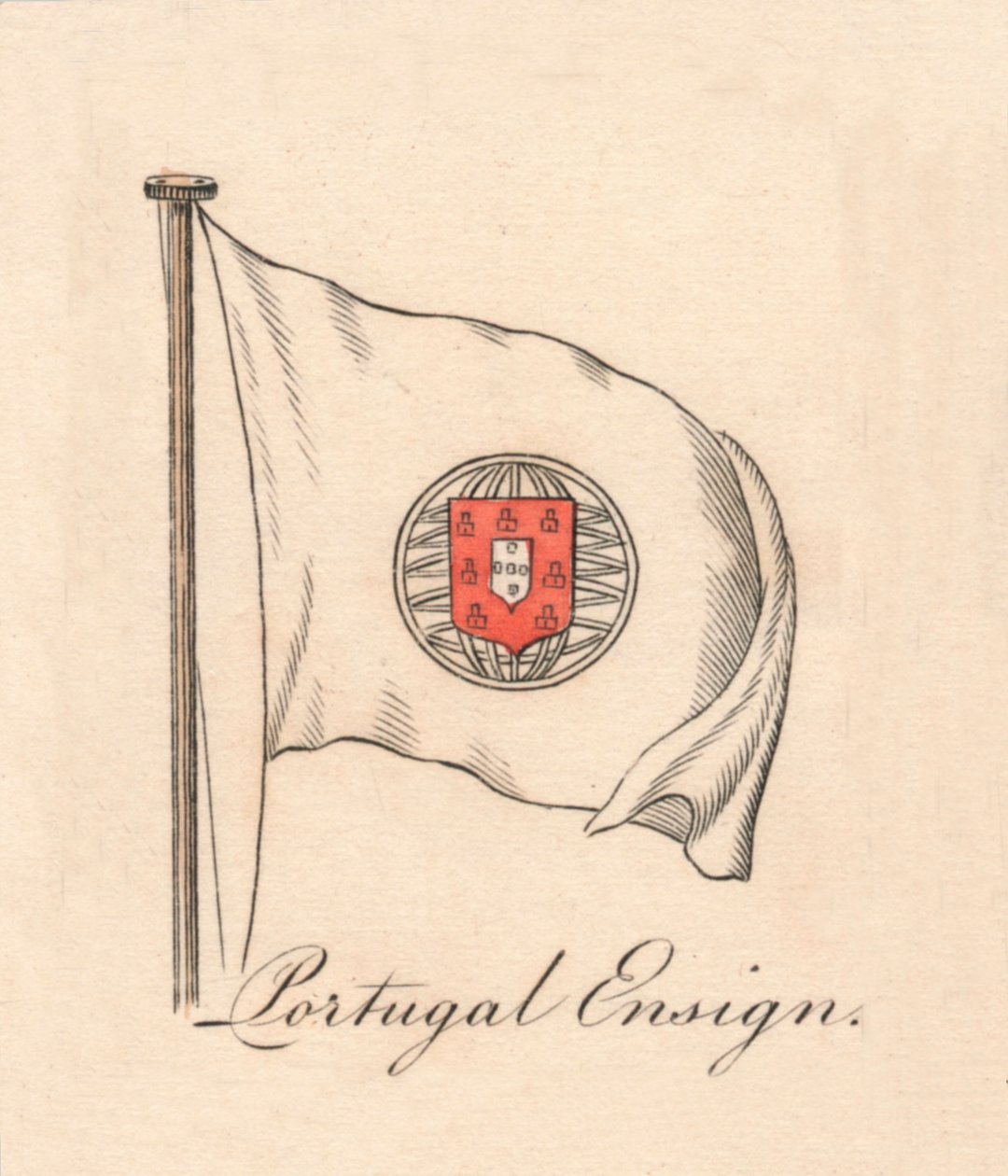 Portugalský praporčík, 1838 od Unbekannt