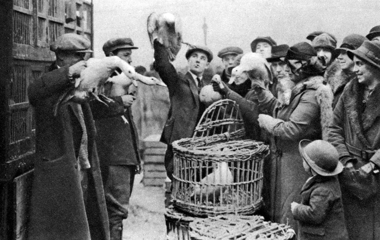 Obchodníci s drůbeží, Caledonian Market, Londýn, 1926-1927 od Unbekannt