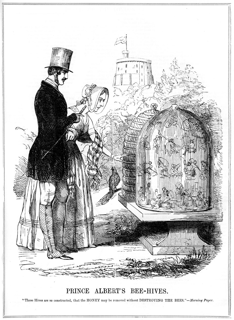 Prince Alberts Bee-Hives, 1843 od Unbekannt