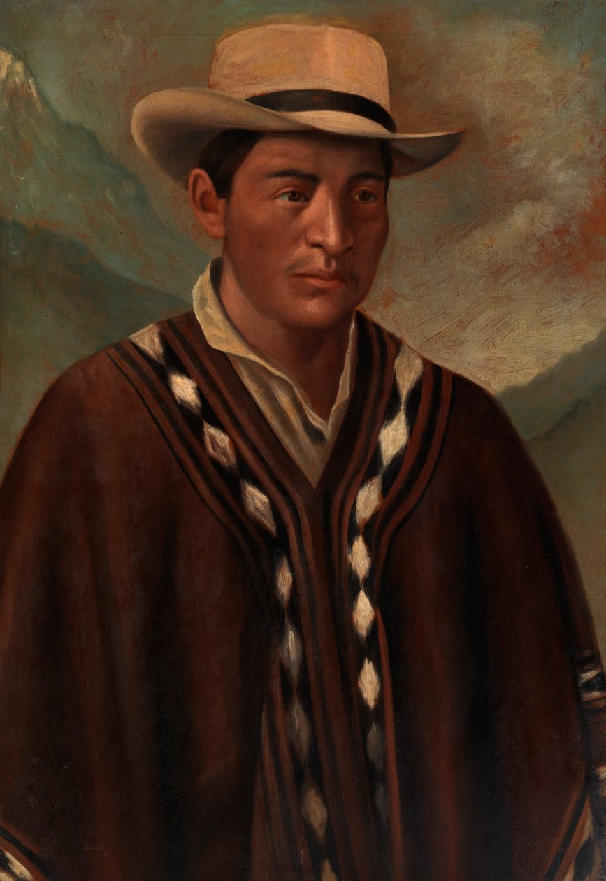 Indická královna, ca. 1890-1892. od Unbekannt