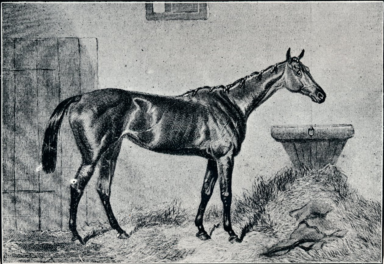 Queen Bertha, 19th century, 1911 od Unbekannt