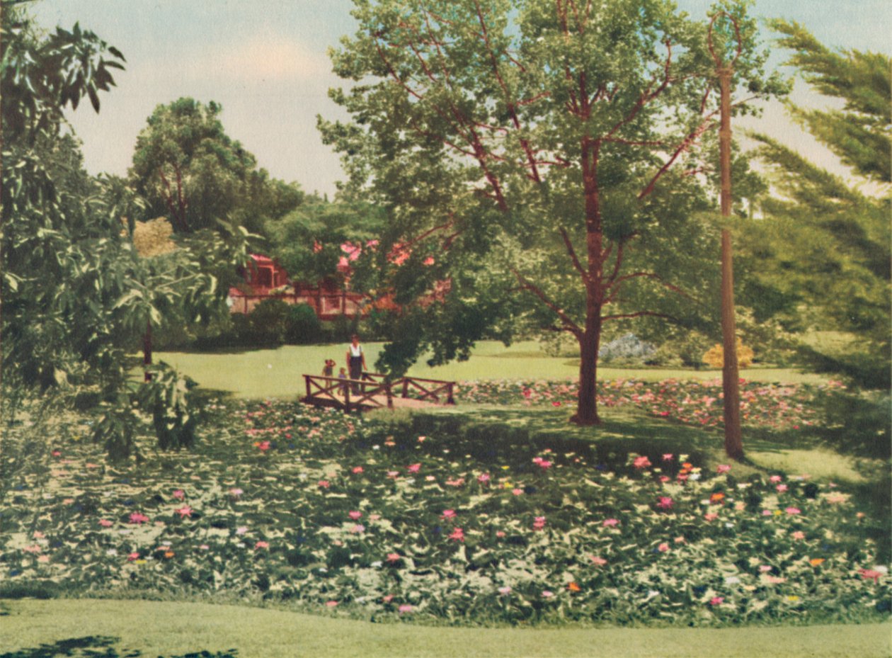 Queens Gardens, c1947. od Unbekannt