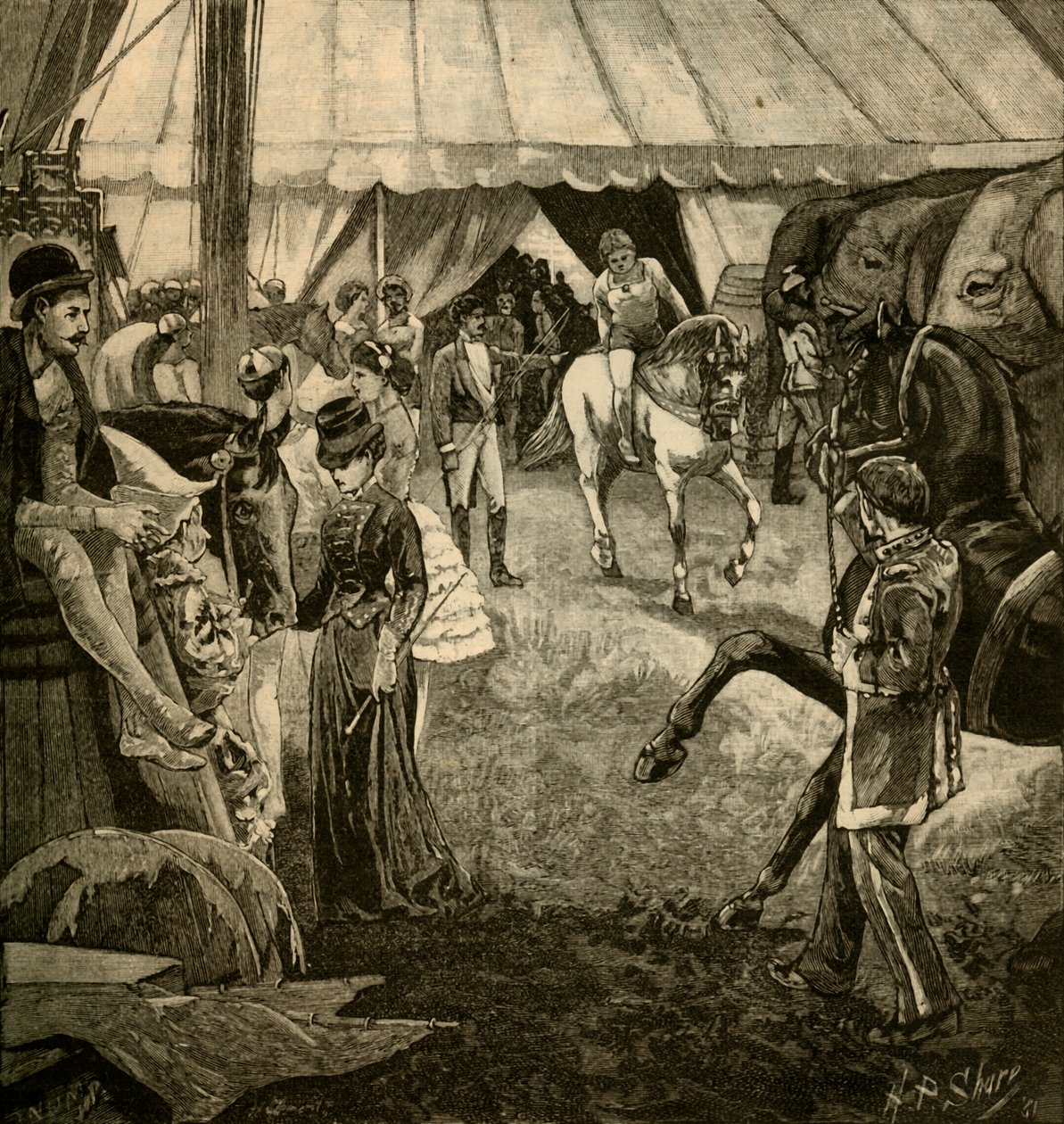 Připraven být povolán do prstenu, 1882. od Unbekannt