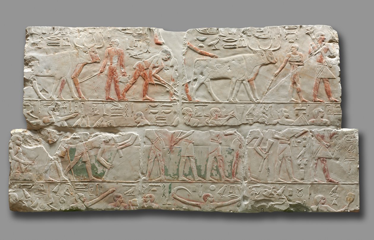 Reliéf zemědělských scén, c. 2311-2281. od Unbekannt