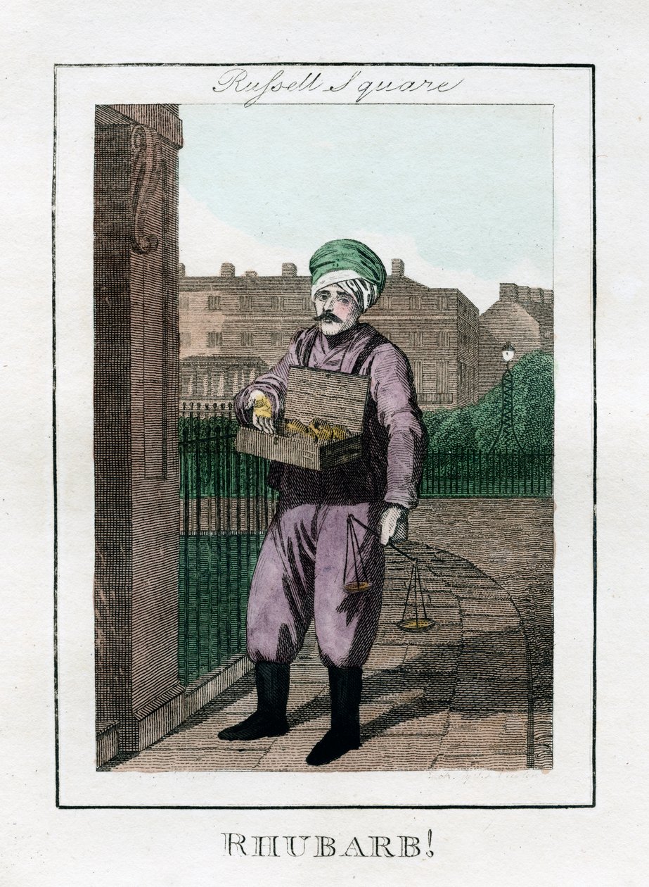 Rebarbora, Russell Square, Londýn, 1805 od Unbekannt