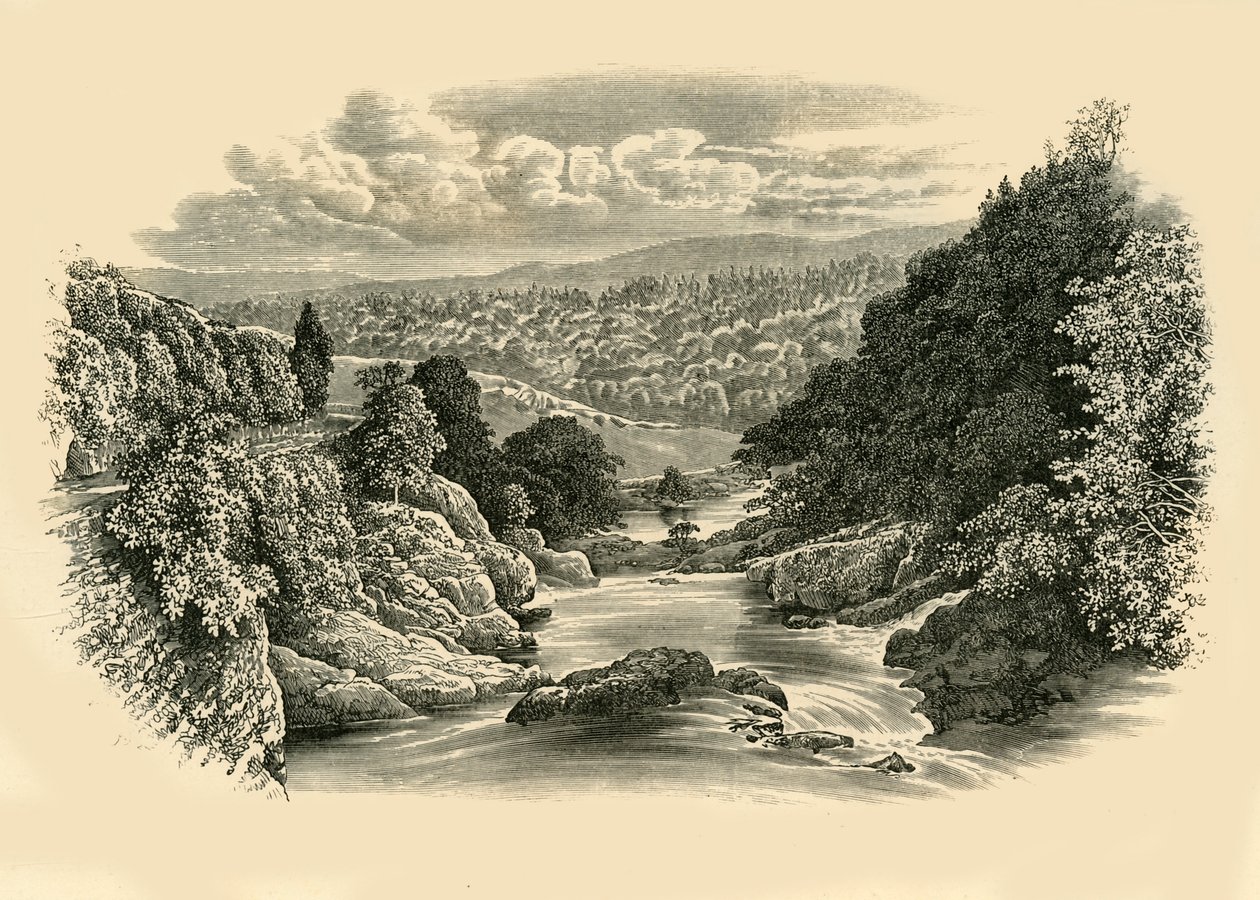 Říční scéna v Pont-Y-Cyffing, c1890. od Unbekannt