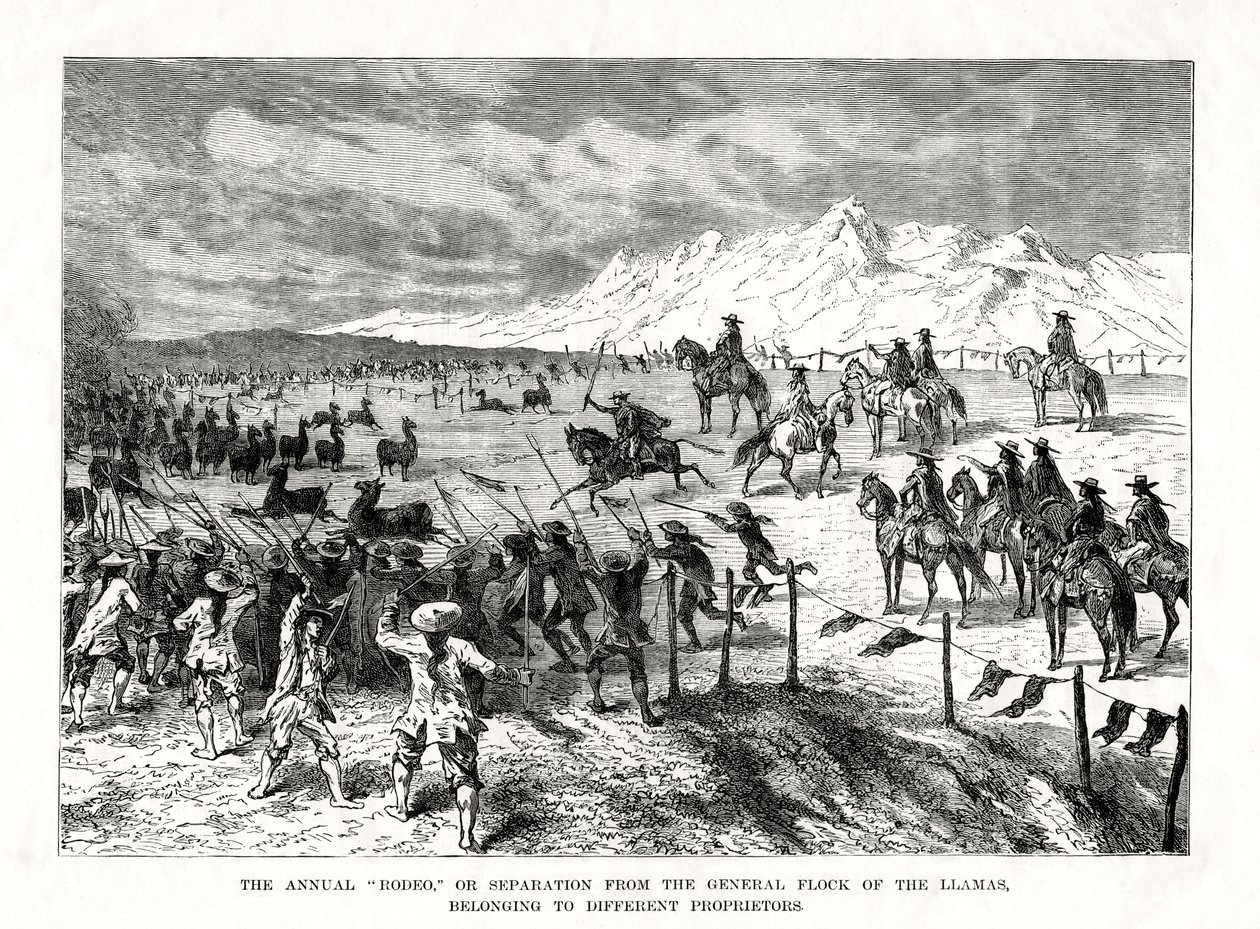 Rodeo, Jižní Amerika, 1877 od Unbekannt