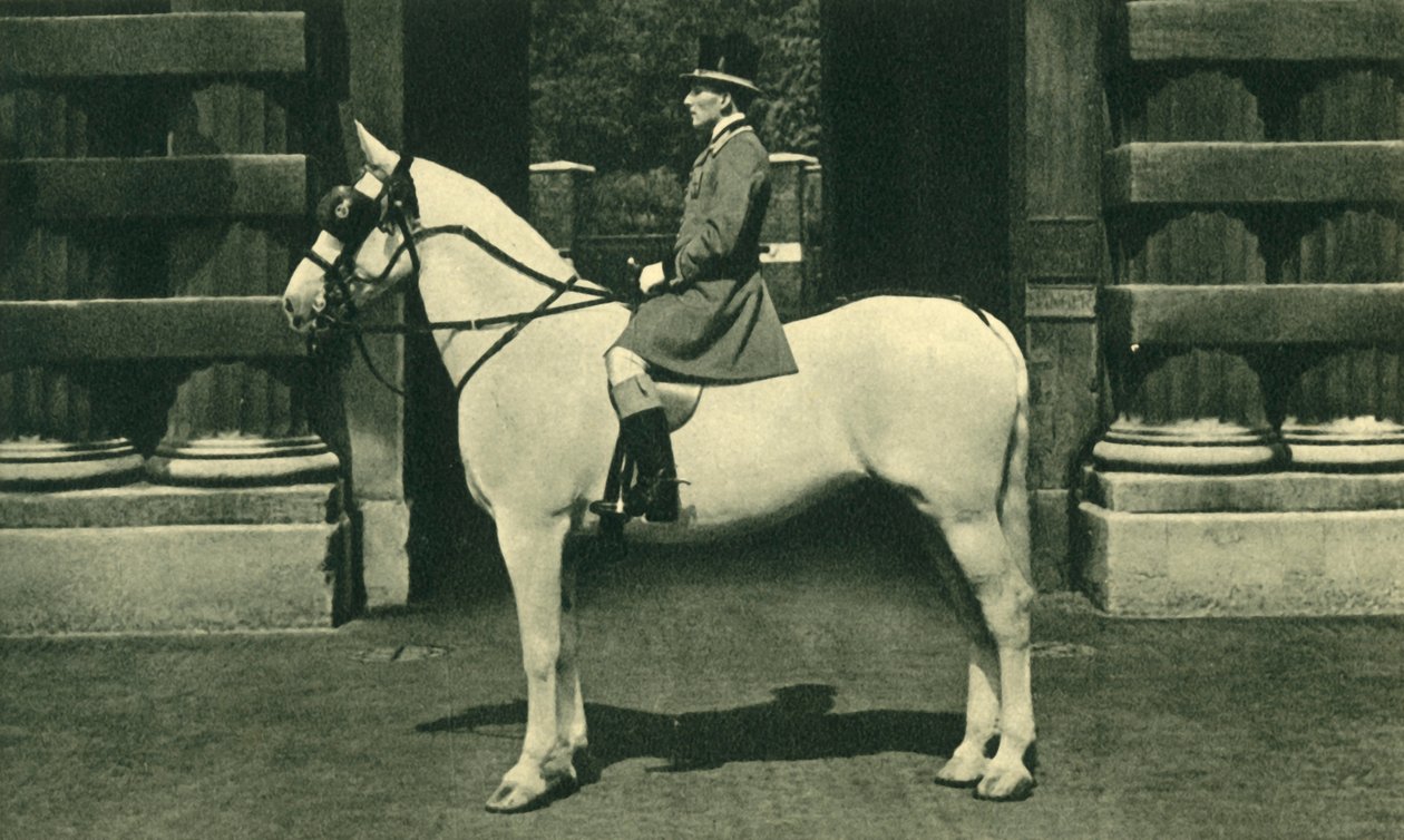 Royal Outrider ve Scarlet Livery, 50. léta 20. století. od Unbekannt