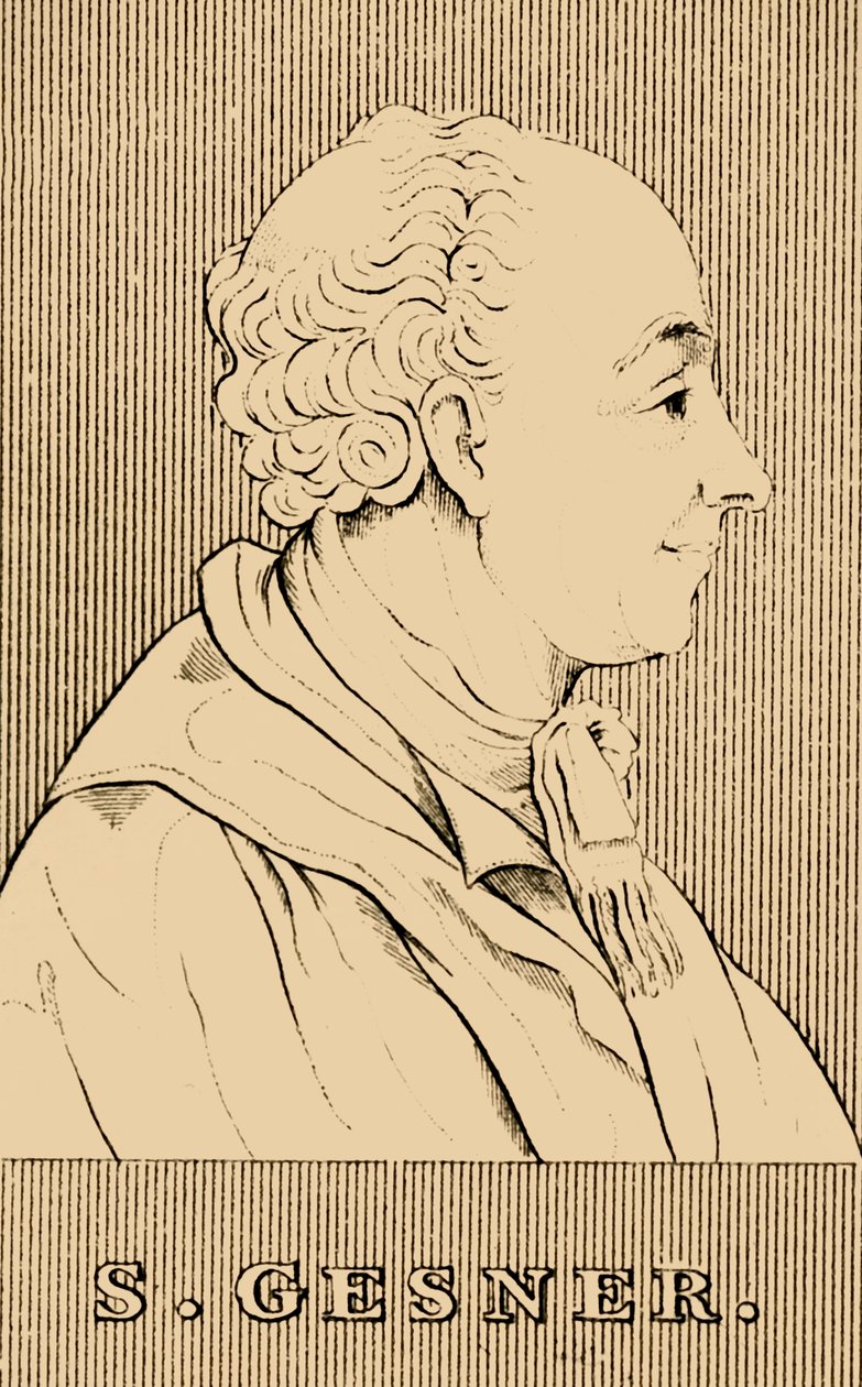 S. Gesner, 1730-1788, 1830. od Unbekannt