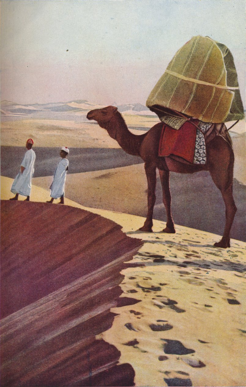 Sahara, třicátá léta 20. století od Unbekannt