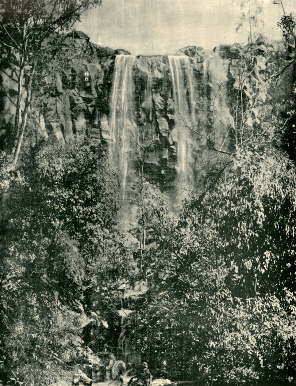 Sailors Creek Falls, Daylesford, 1901. od Unbekannt