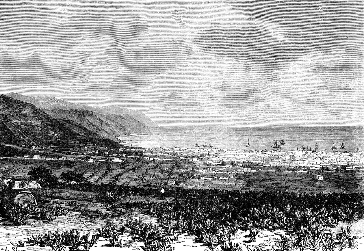 Santa Cruz, Tenerife, Španělsko, 1895 od Unbekannt
