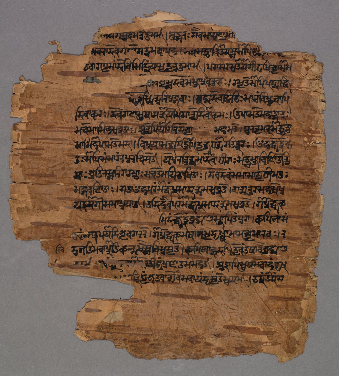 Sarada Script, 1600s. od Unbekannt