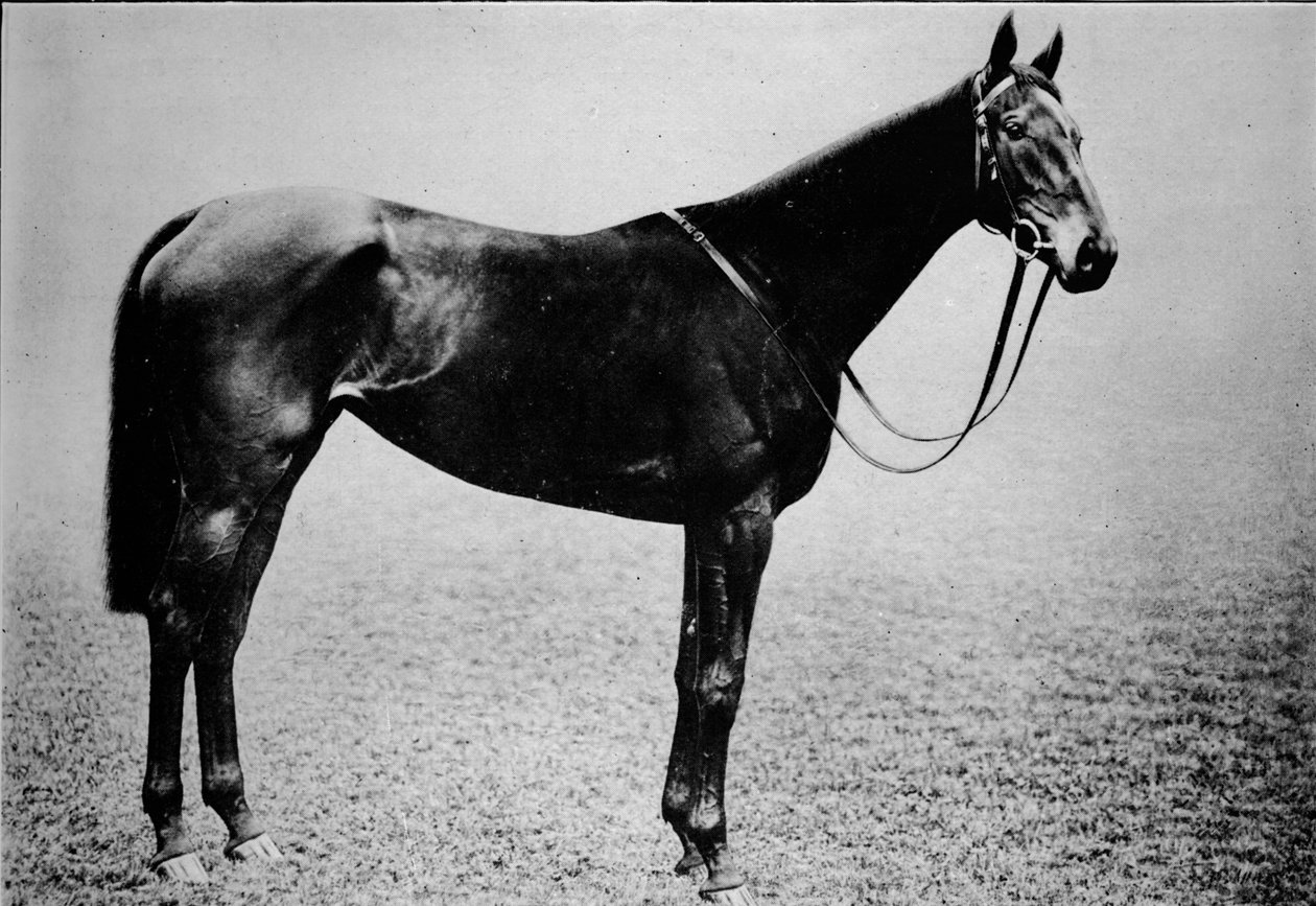 Žezlo, 1899-1926, 1911 od Unbekannt