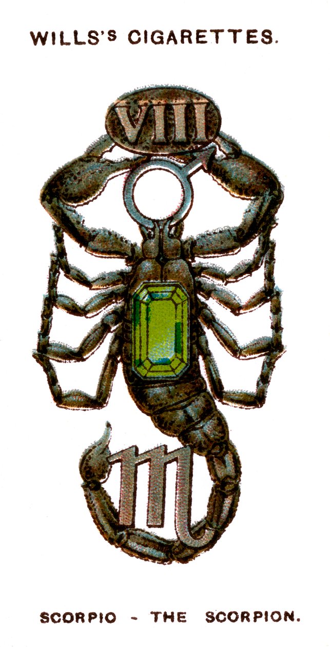 Scorpio, The Scorpion, 1923 od Unbekannt