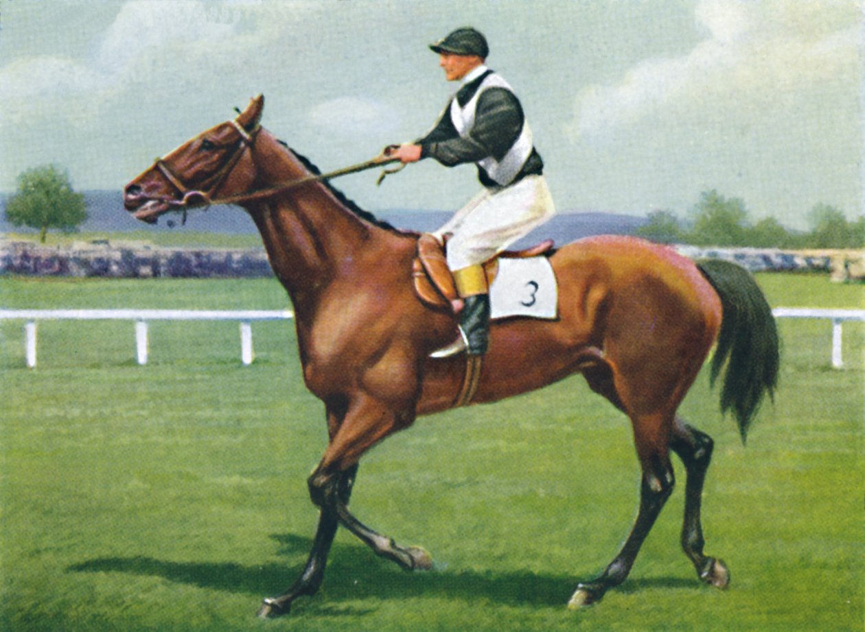 Shalfleet, žokej: R. Perryman, 1939 od Unbekannt