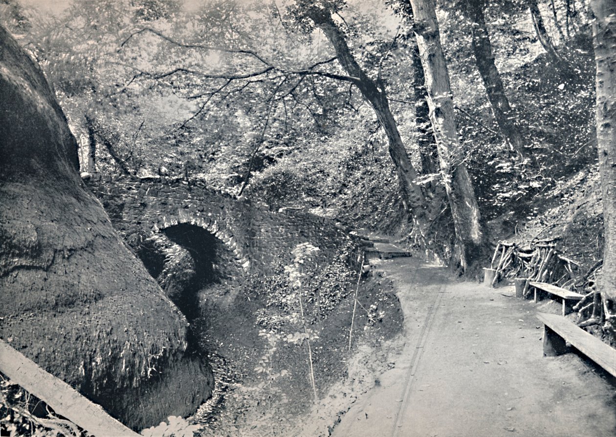 Shanklin - The Chine, 1895 od Unbekannt