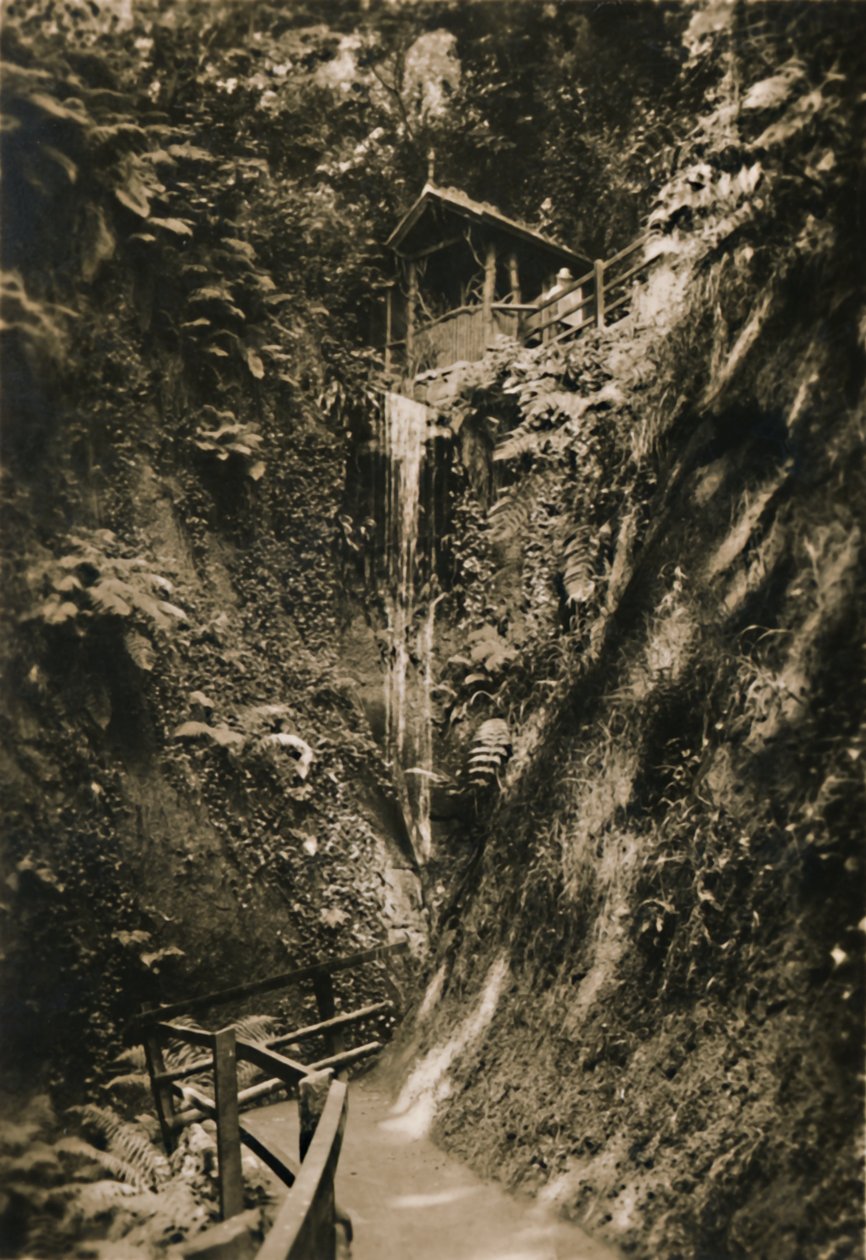 Shanklin Chine, I.W., c1920. od Unbekannt