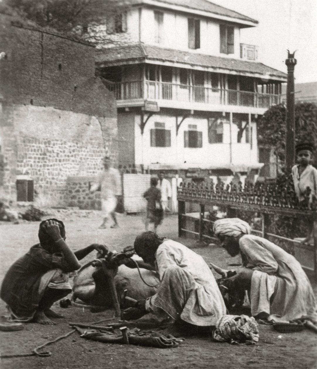 Podkování býka, Indie, c1927-c1929 od Unbekannt