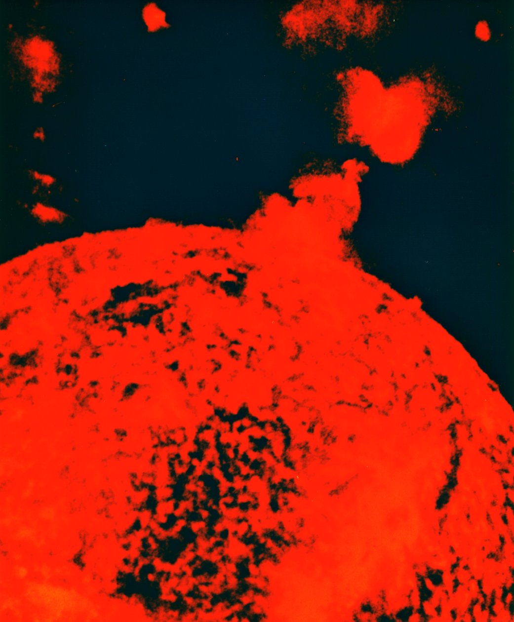 Sluneční erupce od Unbekannt