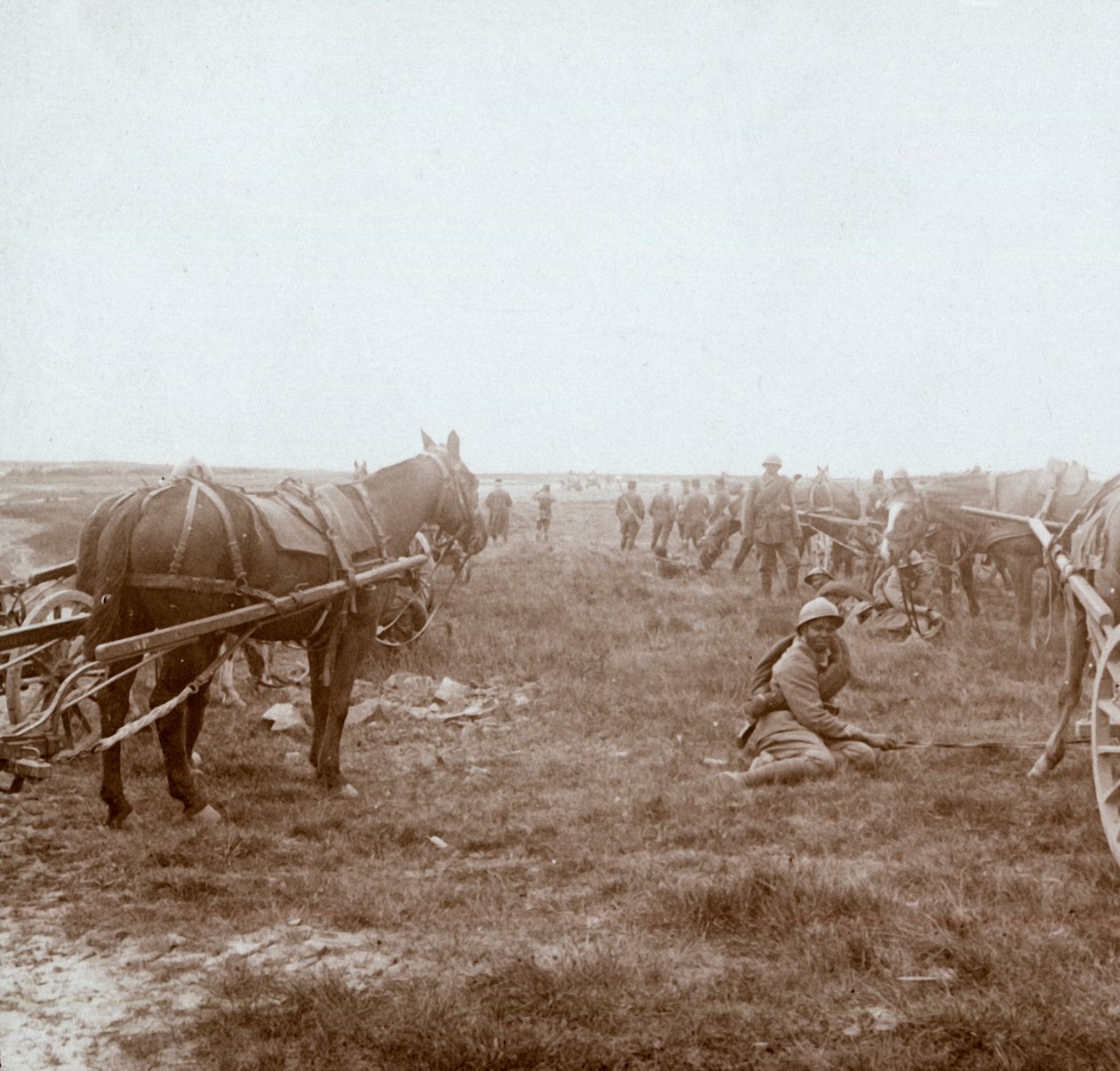 Vojáci a dělostřelectvo tažené koňmi, c1914-c1918 od Unbekannt
