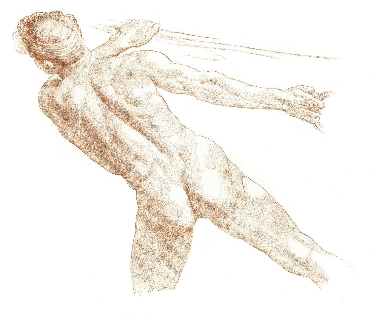Studie, 1895 od Unbekannt