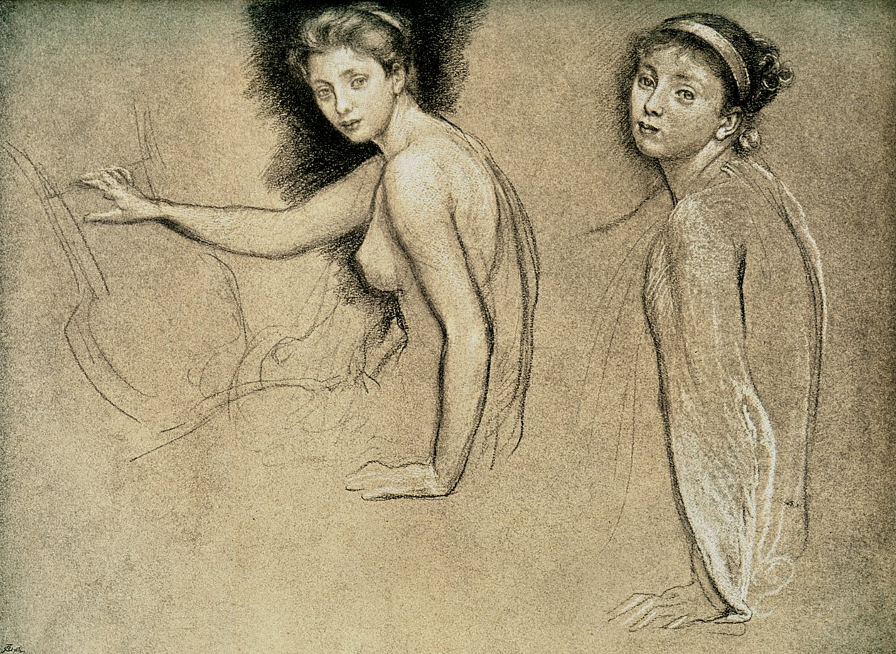 Studie, 1895 od Unbekannt