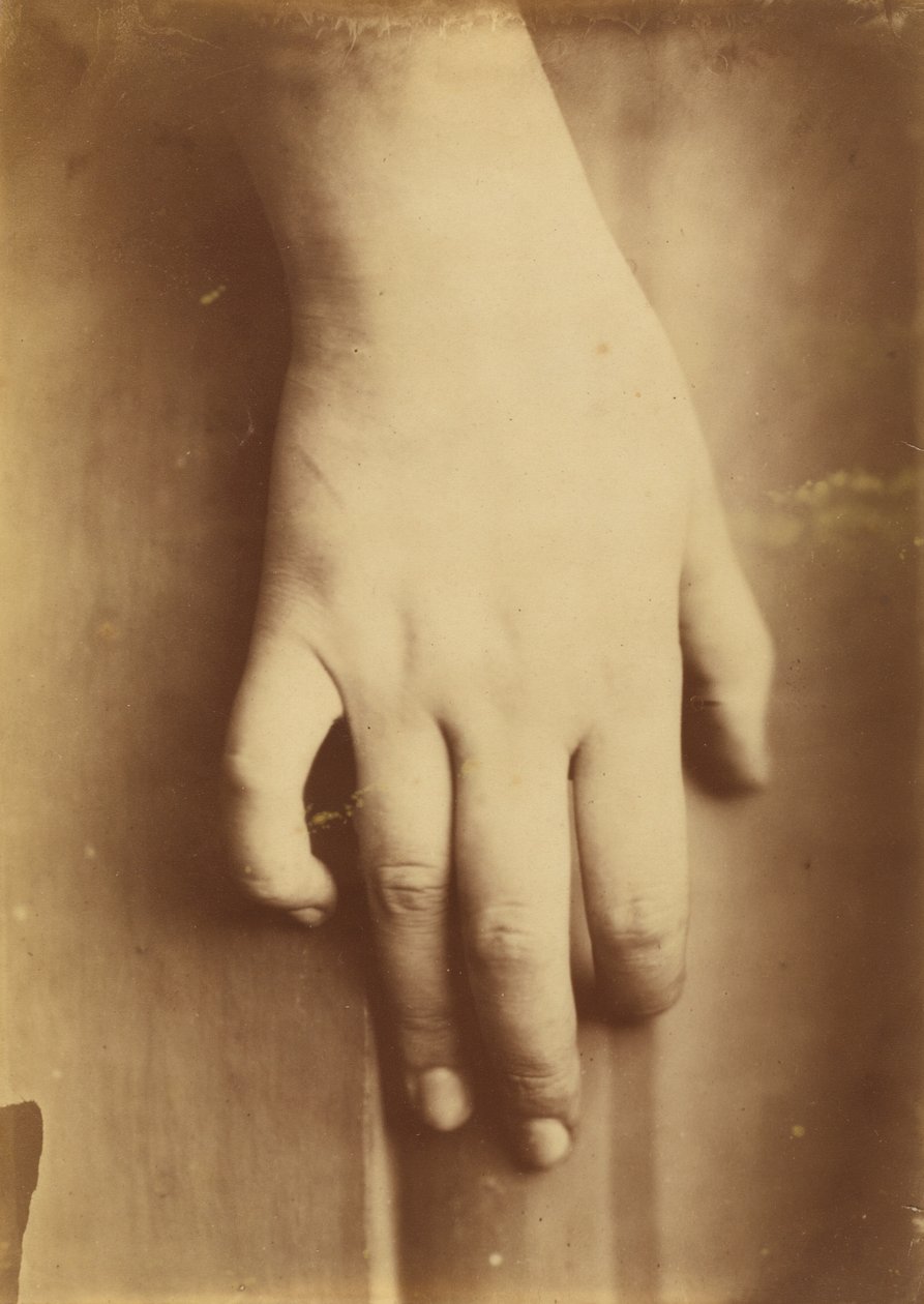 Studie ruky, 1865. od Unbekannt