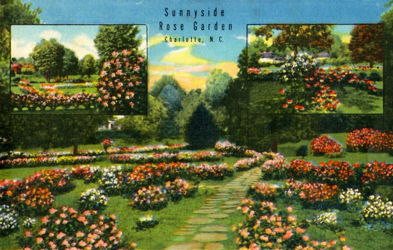 Sunnyside Rose Garden, Charlotte, NC, 1942. od Unbekannt